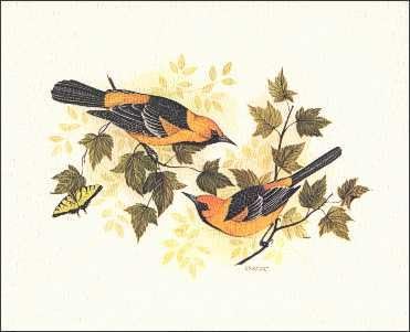 DSC Song Birds - Paper Tole 3D Decoupage Craft Kit Size 8x10 inches K8-386 by DSC