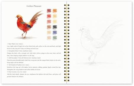 Watercolor Workbook for Beginners – Birds, 16 Original Watercolor Projects, Watercolor Kit with 48 Colors Paint Set, 6 Brushes & Palette, Watercolor Workbook for Adults,Creative Art Gift - Image 7