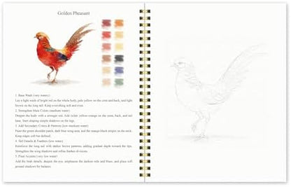 Watercolor Workbook for Beginners – Birds, 16 Original Watercolor Projects, Watercolor Kit with 48 Colors Paint Set, 6 Brushes & Palette, Watercolor Workbook for Adults,Creative Art Gift - Image 7