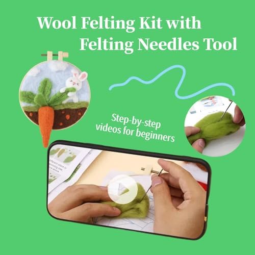 Hilsayum Wool Painting Kit Needle Felting Kit Wool Felt Painting Gifts for Adults,Needle Felt Supplies for Beginners,Home Decoration - Image 2