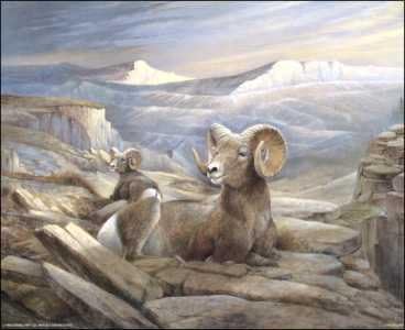 DSC Mountain Ram - Paper Tole 3D Decoupage Craft Kit Size 8x10 inches K51713 by DSC