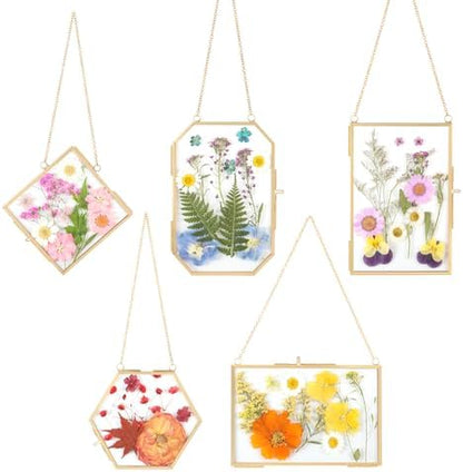 5 PcsDouble Glass for Pressed Flowers,Clear Brass Embossed Frame with Tweezers,Can Be Used for Dried Flower Plant Photo Postcards Wall Mounted Glass Pressed Flower Frame,No Dried Flowers by Unknown