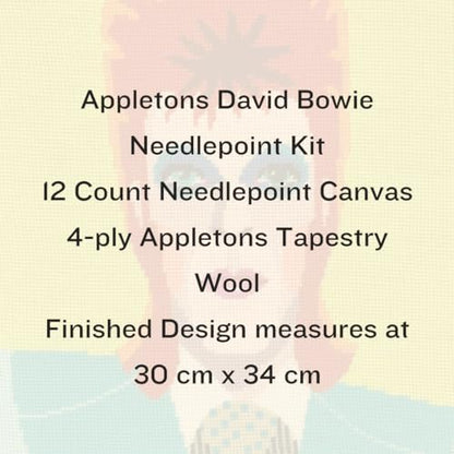 HM NABAVIAN Appletons Wool Needlepoint Kit – Portraits Range - David Bowie Designed by Emily Peacock - Image 2