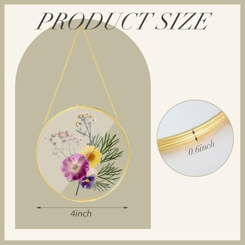 4 Inch 4 Pcs Pressed Flower Frames Double Glass Frame Wall Decor, Gold - Image 2