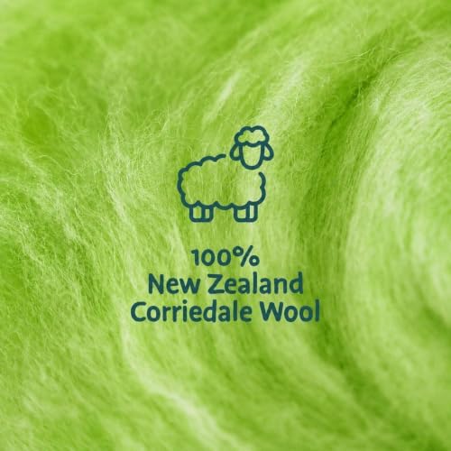 Woolbuddy Corriedale Wool Roving Kit for Needle Felting (Green) 20g Each - Image 2