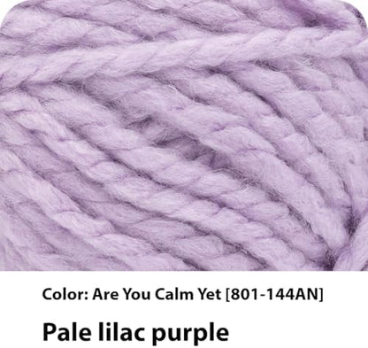 Lion Brand Yarn InstaKnit Beginner Yarn for Knitting, are You Calm Yet, 1 Pack - Image 2