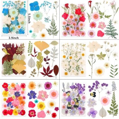 420 Pcs Dried Pressed Flowers for Resin,Real Nature Dried Flower for Crafts - Image 4