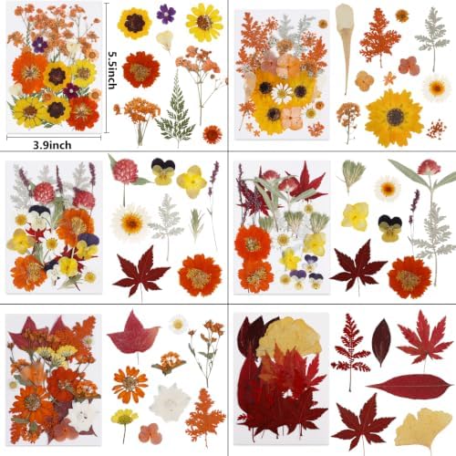 277 Pcs Autumn Dried Flowers for Crafts,Real Nature Dried Flowers for Resin - Image 3