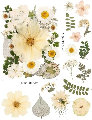 100pcs White and Light Yellow Dried Pressed Flowers Bulk, Natural Fall Pressed Dried Flowers with Tweezer for DIY Crafts Resin Mold Candles Cake Bridal Scrapbooking Supplies - Image 2