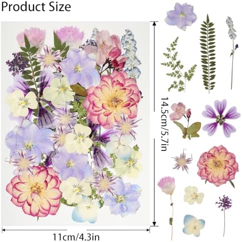 50Pcs Dried Pressed Flowers Resin Mould Real Pressed Flowers Natural Dry Leaves Bulk Mixed Colorful Daisy Herbs Kit with Tweezers for Scrapbooking DIY Candle Jewelry Crafts Making Nails(Purple) - Image 2