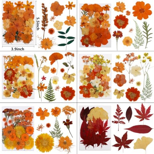 350 Pcs Fall Dried Flowers for Crafts,Real Nature Dried Flowers for Resin - Image 3