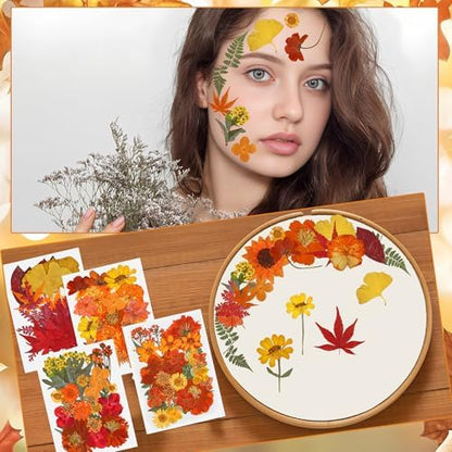 100 PCS Real Fall Dried Pressed Flowers Leaves Fall Natural Dried Flowers Leaves Kit Autumn Pressed Dry Flower Leaf Set for Scrapbooking DIY Art Craft Resin Jewelry Molds Candle Soap Making Nail Decor - Image 5