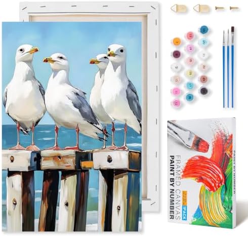 Kalonyth Seagull Framed Paint by Numbers Kit for Adults Beginner 8x12 inch by Kalonyth