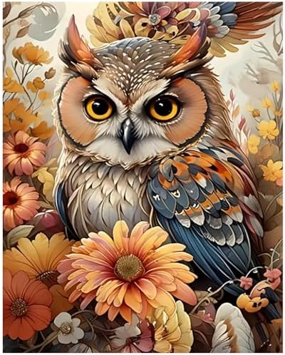 XTCIXAL Paint by Numbers Kit for Adults, Owl, 16X20 Inch by XTCIXAL