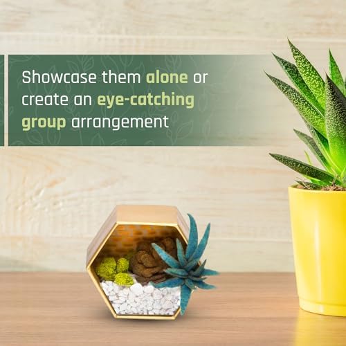 Craft Crush — Mini Plants Terrariums Easy Fun Arts and Craft Kit — Make 3 Charming Faux Terrariums! — For Ages 13 and Up - Image 6