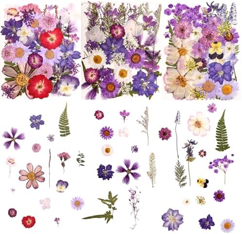 100 PCS Purple Pressed Dried Flowers and Leaves with Tweezers by Cokosing