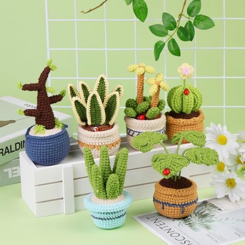 Hssugi Crochet Kit for Beginners, 6PCS Succulents Plants Crochet Kits - Image 2