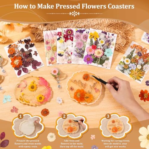 Evatage 180 Pcs Real Dried Pressed Flowers for Resin Crafts - Image 5