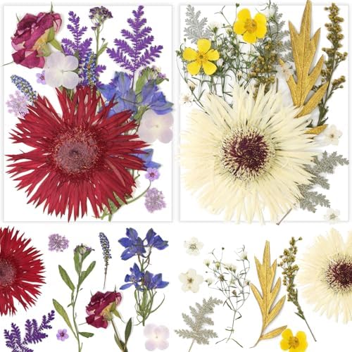 17 Types 30PCS Real Dried Pressed Flowers Bulk Dried Flower for Crafts, Packed DIY Natural Dried Pressed Flowers for Resin Mold Scrapbooking DIY by Unknown