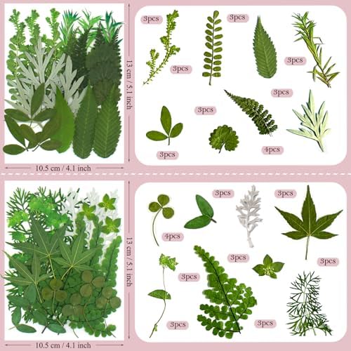 100 Pcs Dried Pressed Flowers Leaves for Resin Molds, Real Natural Bulk Dry Wildflowers Perfect for Epoxy, DIY Crafts, Soap Candles Jewelry Making, and Home Decor - Image 5