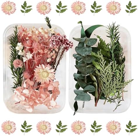 2PCS Dried Flowers Kit, Natural Dried Flowers Kit for DIY Crafts, Scrapbook, Card Making (Stye2_13) by Unknown