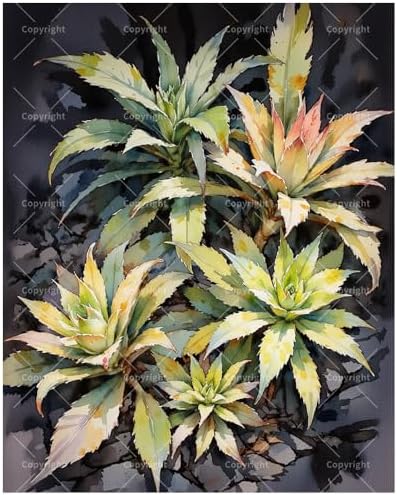 ENTORLAB Botanical Paint by Numbers Kit for Adults - DIY Tropical Agave Plants Painting on Canvas 16x20In, Acrylic Paint Set, Suitable for Beginners, Garden Art for Home Decoration or Gifts by Unknown