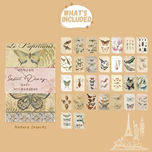 60 Sheets Junk Journal Ephemera Kit, 30 Unique Vintage Scrapbook Paper Patterns for Bullet Journal, Planner Supplies, 3x2 inch (80x50mm) Collage Material (Nature Insects) - Image 2