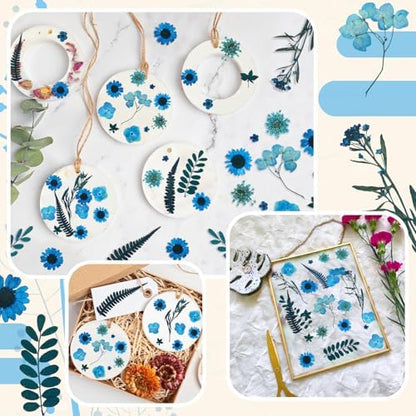 Fabbay 200 Pcs Dried Pressed Flowers Natural Leaves for Resin Nail, Blue - Image 6