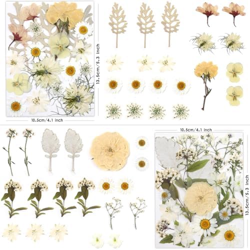 LUXEEASE 80P White Pink Dried Pressed Flowers - Image 2