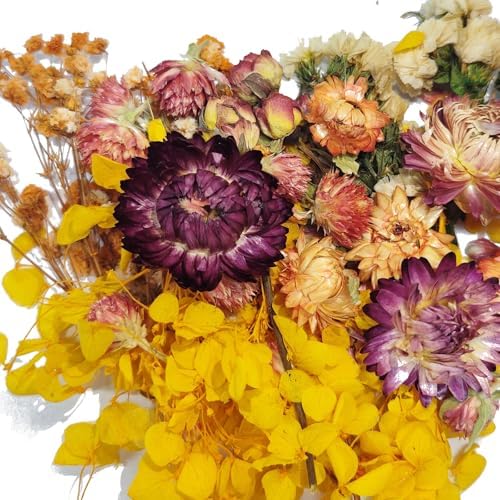 6 Color Themes Natural Dried Flowers Small Real Dry Flower for Resin, Soap Making, Greeting Cards, Craft Projects - Image 5