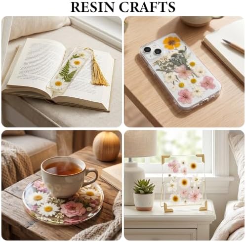 NESCCI 83 Pcs Dried Flowers for Crafts,Real Natural Dried Pressed Flowers - Image 5