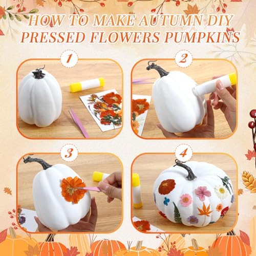 Canlierr 12 Pcs Large Craft Pumpkins & 150 Dried Flower, Orange White Green - Image 3