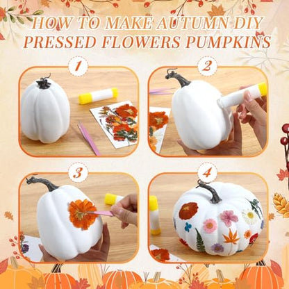 Canlierr 12 Pcs Large Craft Pumpkins & 150 Dried Flower, Orange White Green - Image 3