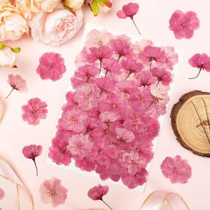 101 PCS Pressed Cherry Blossom for Crafts, Pink Dried Pressed Flowers for Resin DIY Jewelry Making Cake Card Scrapbook Decor, Dried Sakura Flowers for Soap Candle Making - Image 3