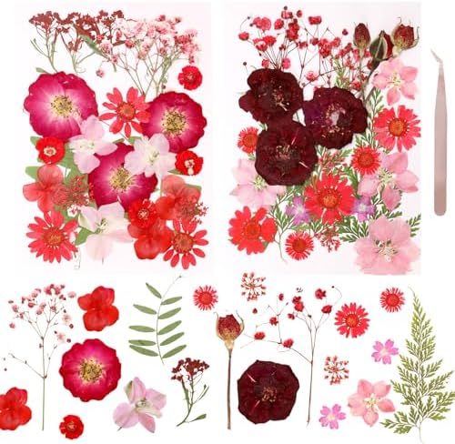 Dried Pressed Flowers Real Pressed Flowers Natural Dry Leaves Bulk Mixed Colorful Herbs Kit with Tweezers for Scrapbooking DIY Candle Jewelry Crafts Making Nails (Red) by Gvhntk