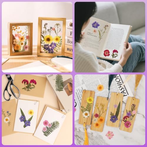 428 Pcs Dried Pressed Flowers for Resin,Real Nature Dried Flowers for Craft - Image 7