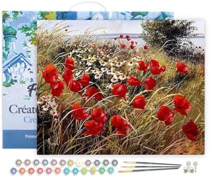 Figured'Art Paint by Numbers for Adults with Frame Wild Flowers in The Countryside 16"x20" - Craft Art Painting DIY Kit Canvas Already Stretched on a Wooden Frame by FiguredArt