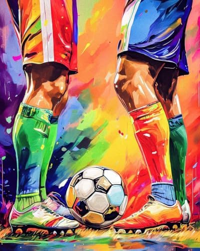 Paint by Numbers Kit for Adults, Soccer Match Number Painting, 16 x 20 Inch by GEEHEIY