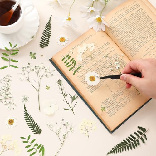 Fabbay 200 Pcs Dried Pressed Flowers Natural Leaves for Resin Nail, White - Image 2