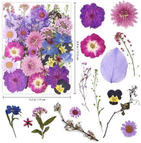 40 Pcs Purple Dried Pressed Flowers Real Natural for Scrapbooking Art Crafts DIY Gift Papermaking Resin Party Decorations Candle Soap Card Jewelry Making Supplies - Image 2