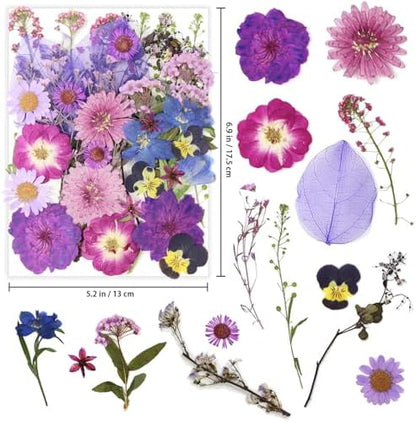 40 Pcs Purple Dried Pressed Flowers Real Natural for Scrapbooking Art Crafts DIY Gift Papermaking Resin Party Decorations Candle Soap Card Jewelry Making Supplies - Image 2