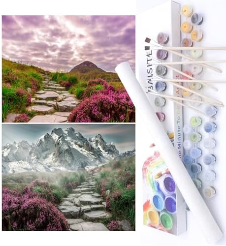 BAISITE Paint by Numbers Kit for Adults Beginners,16" Wx12 L 2 Pack Canvas for Painting Kits for Adults in Colorful Box-BAIPBN655-656 by PaintbyNumbersKitsforAdults