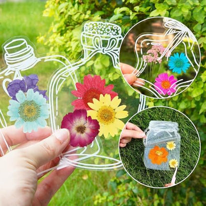 11 Types 40pc Colourful Dried Pressed Flowers for Resin Real Flowers for DIY Bookmark Scrapbook Photo Frame Jewelry Vase Candle Making Nail Card Art Craft Floral Decors - Image 4