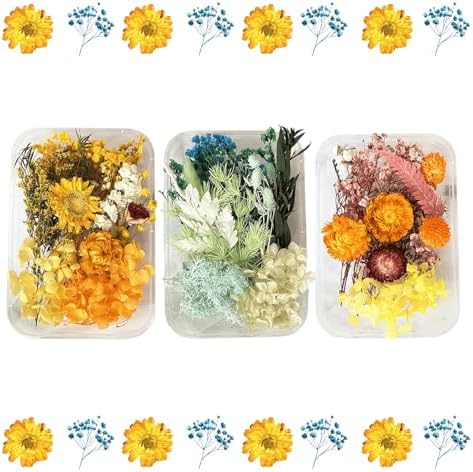 2PCS Dried Flowers Kit, Natural Dried Flowers Kit for DIY Crafts, Scrapbook, Card Making (Style18_24_27) by Unknown