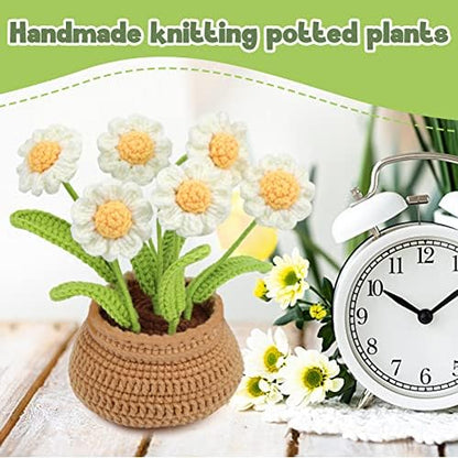 kgxulr Crochet Kit, Little Daisy Knitting Kit, Crochet Kit for Beginners - Image 6
