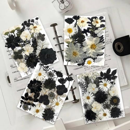131PCS Black White Dried Pressed Flowers with Butterfly Stickers - YouthBro Real Nature Flowers Craft Set for Craft Resin DIY Jewelry Candle Soap Making Nail Card Scrapbook Art Floral Decors - Image 2