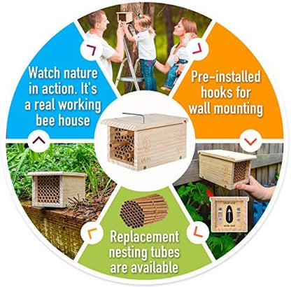 Rivajam Build a Bee House DIY Woodworking Project | Solitary Mason Bee House Nesting Box Wood Building Kit & Tools | Garden Arts & Crafts Activities for Toddler Boys & Girls Kids Teens Adults & Family - Image 5