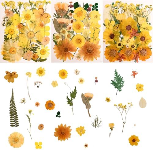 100 PCS Yellow Pressed Dried Flowers and Leaves with Tweezers by Cokosing