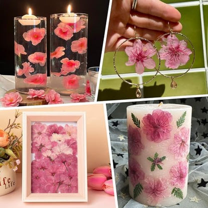 101 PCS Pressed Cherry Blossom for Crafts, Pink Dried Pressed Flowers for Resin DIY Jewelry Making Cake Card Scrapbook Decor, Dried Sakura Flowers for Soap Candle Making - Image 5