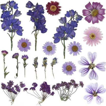 Purple Dried Pressed Flowers Real Natural Petals Bulk for Scrapbooking Art Crafts DIY Gift Papermaking Resin Party Decorations Candle Soap Card Jewelry Making Supplies - Image 3